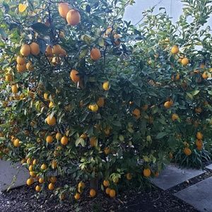 Meet your Posher, Raymond